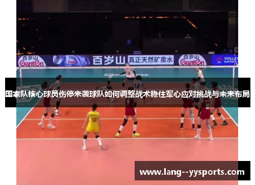 国家队核心球员伤停来袭球队如何调整战术稳住军心应对挑战与未来布局